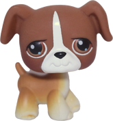 #0025 Boxer